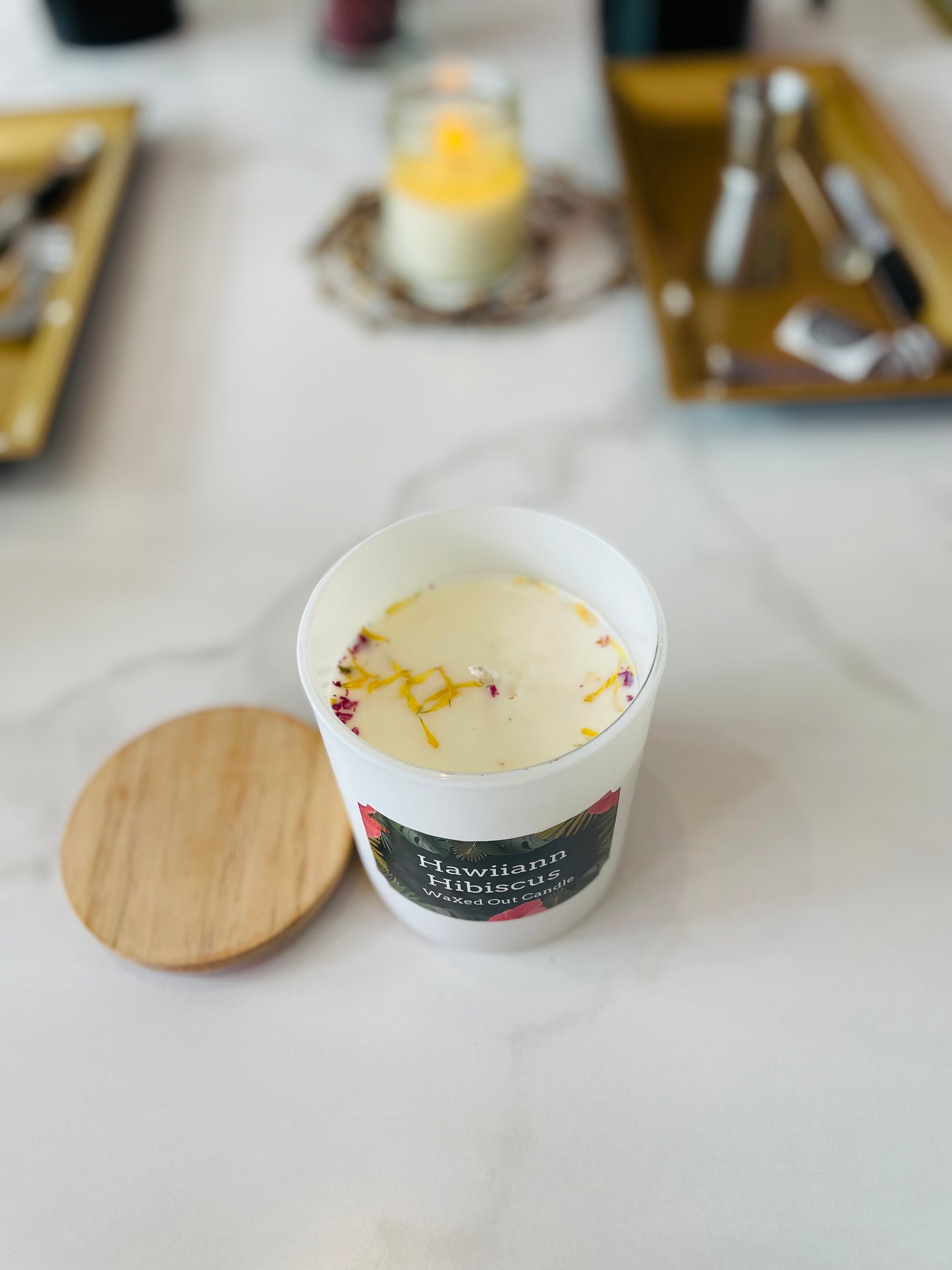 Hawaiian Hibiscus 🌺